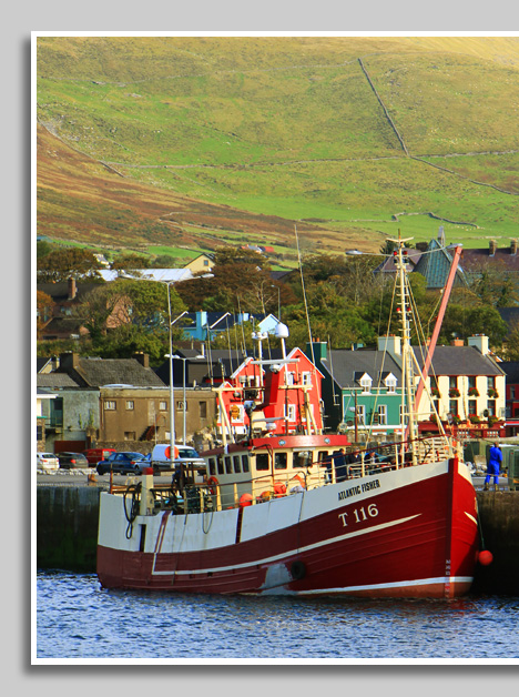 Dingle im County Kerry -  Fischereihafen - Irland