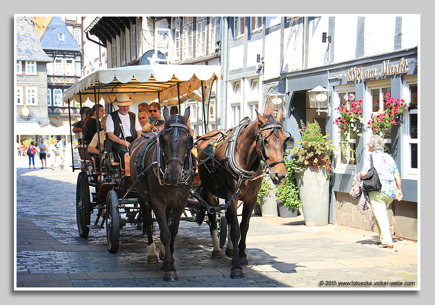Bei einer Rundfahrt mit der Pferdekutsche kann man vom Kutscher einiges über Goslar erfahren.