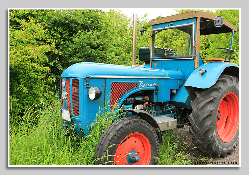 Hanomag Traktor  Robust