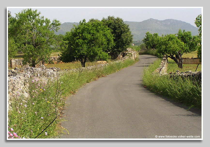 Mallorca - Landstraße mit landestypischer Steinmauer am Straßenrand.
