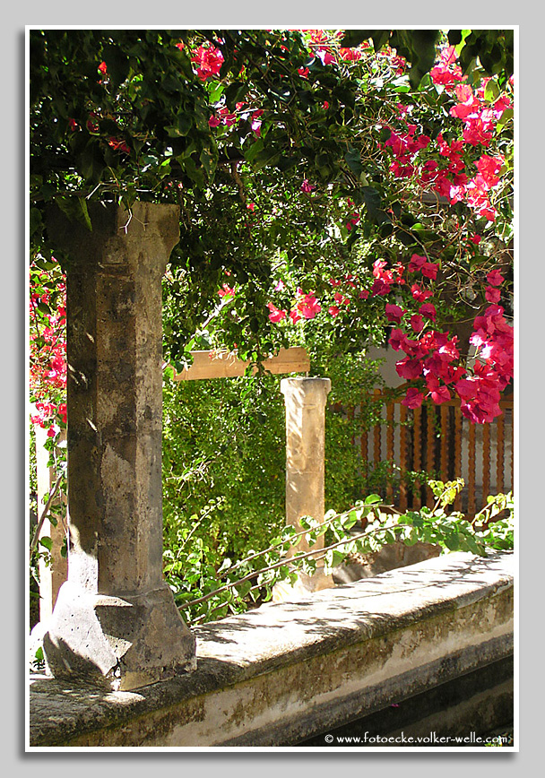 Blühender Garten in Palma de Mallorca